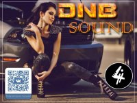 VA - DNB Sound vol.4 (2015) MP3