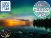 VA - Flight Of The Soul vol.25 (2015) MP3