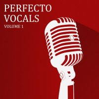 VA - Perfecto Vocals Vol. 1 (2015) MP3