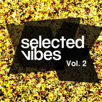 VA - Selected Vibes (2015) MP3