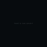 Bring Me the Horizon - That's The Spirit (2015) MP3