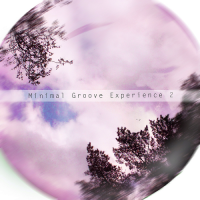 VA - Minimal Groove Experience 2 (2015) MP3