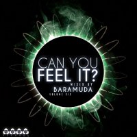 VA - Can You Feel It? Vol 6 (Mixed By Baramuda) (2015) MP3