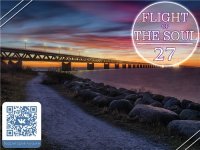 VA - Flight Of The Soul vol.27 (2015) MP3