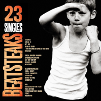 Beatsteaks - 23 Singles (2015) MP3