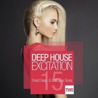 VA - Deep House Excitation Two - 15 Finest Deep-and Chillhouse Tunes (2015) MP3