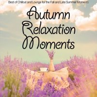 VA - Autumn Relaxation Moments Best of Chillout and Lounge for the Fall and Late Summer Moments (2015) MP3