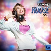 VA - Now We House, Vol. 1 (2015) MP3