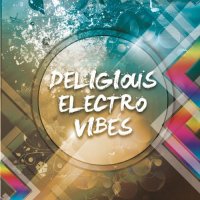 VA - Deligious Electro Vibes (2015) MP3