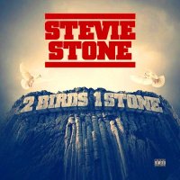 Stevie Stone - 2 Birds 1 Stone (2013) MP3