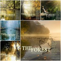 VA - The Forest Chill Lounge Vol. 2-7 (2015) MP3