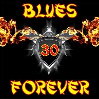 VA - Blues Forever, Vol.30 (2015) MP3