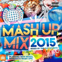 VA - Ministry Of Sound: Mash Up Mix (Mixed by The Cut Up Boys) (2015) MP3