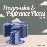 VA - Progressive & Psytrance Pieces Vol. 13 (2015) MP3