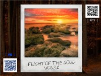 VA - Flight Of The Soul vol.31 (2015) MP3