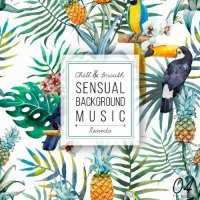 VA - Sensual Background Music Vol. 4 (2015) MP3
