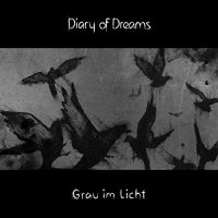 Diary of Dreams - Grau im Licht (2015) MP3