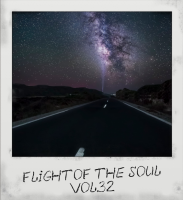 VA - Flight Of The Soul vol.32 (2015) MP3