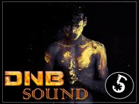 VA - DNB Sound vol.5 (2015) MP3