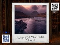 VA - Flight Of The Soul vol.33 (2015) MP3