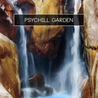 VA - Psychill Garden (2015) MP3