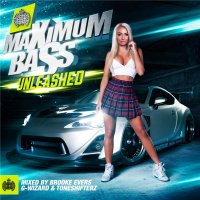 VA - Ministry of Sound: Maximum Bass Unleashed (2015) MP3