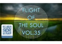 VA - Flight Of The Soul vol.35 (2015) MP3