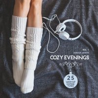 VA - Cozy Evenings Vol 1 (25 Warm Up Lounge Tunes) (2015) MP3