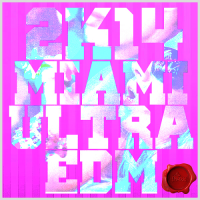VA - 2K14 Miami Ultra EDM - New Product (2015) MP3