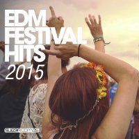 VA - EDM Festival Hits (2015) MP3