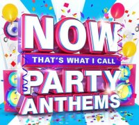 VA - Now Thats What I Call Party Anthems (2015) MP3