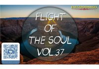 VA - Flight Of The Soul vol.37 (2015) MP3