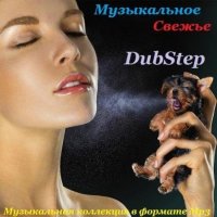 VA -   - Dubstep (2013) MP3