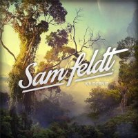 Sam Feldt - Wildernis (2015) MP3