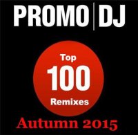 VA - PromoDJ Top 100 Remix (2015) MP3