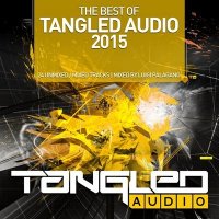 VA - Tangled Audio Best Of 2015 (Mixed by Luigi Palagano) (2015) MP3