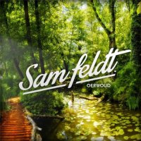 Sam Feldt - Oerwoud (2015) MP3