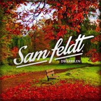 Sam Feldt - Dwarrelen (2015) MP3