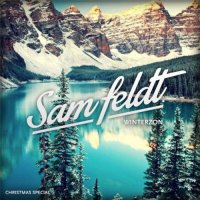 Sam Feldt - Winterzon (2015) MP3