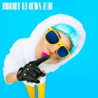 VA - January DJ News (2015) MP3