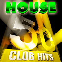VA - 50 House Club Hits - Series Flash Thunder (2015) MP3