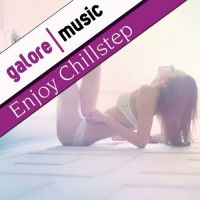 VA - Enjoy Chillstep (2016) MP3