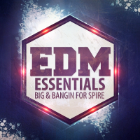 VA - EDM Essentials - Future Banging Concert (2016) MP3