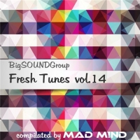 VA - Fresh Tunes vol.14 from Mad M!nd (2016) MP3
