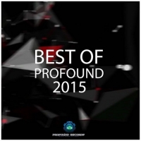 VA - Best Of Profound 2015 (2016) MP3
