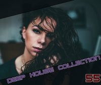 VA - Deep House Collection vol.55 (2016) MP3