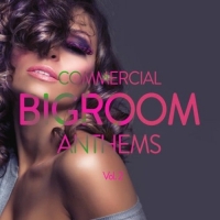 VA - Commercial Bigroom Anthems, Vol. 2 (2016) MP3