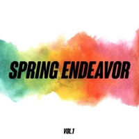 VA - Spring Endeavor, Vol. 1 (2016) MP3