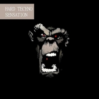 VA - Hard Techno Sensation (2016) MP3