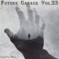 VA - Future Garage Vol.33 [Compiled by Zebyte] (2016) MP3